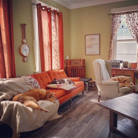 Meet your Posher, Yvonne - Picture 3 of 4